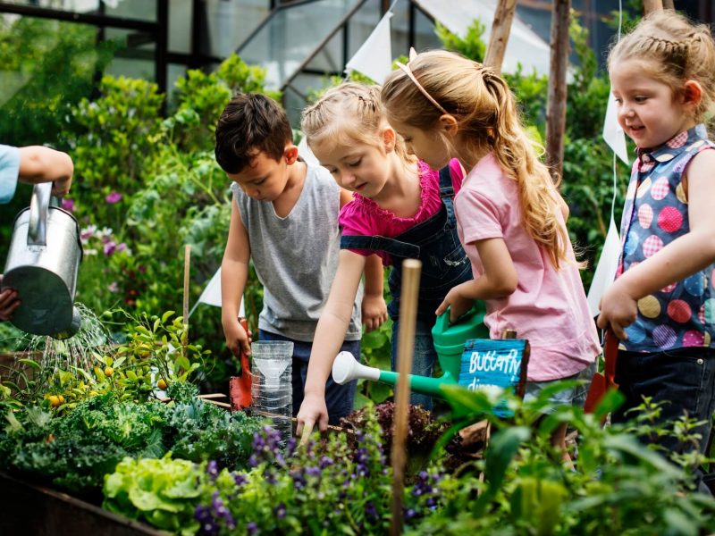 group-of-kindergarten-kids-learning-gardening-outdoors-1.jpg